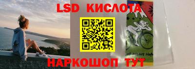 прущие грибы Свободный